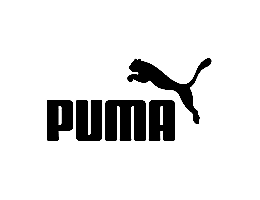 Logo de Gasolinera Puma